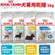 ✨橘貓MISO✨Royal Canin法國皇家 犬專用乾糧3Kg 腸胃/皮膚/體重/泌尿道保健小型成犬 犬糧