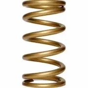 Landrum Springs K16-325 5" O.D. Rear Conventional Spring - 16" Length - Gold