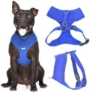ROYAL BLUE - Medium Vest Harness