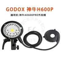 在飛比找樂天市場購物網優惠-Godox 神牛 AD600PRO-H600P 專用600W