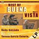 【停看聽音響唱片】【黑膠LP】Best of Buena Vista Vol.2