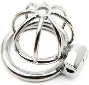 Stainless Steel Small Male Chastity Device with Invisible Lock Comfortable Chastity Cock Cage SM Sex Toys for Male Penis Training and Abstinence