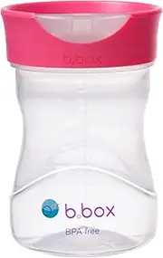 Bbox Baby Toddler Spout Sippy Training Cup, Raspberry