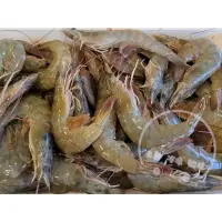 在飛比找蝦皮購物優惠-【蝦咪】南美白蝦50/60     800g/盒