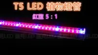 在飛比找Yahoo!奇摩拍賣優惠-♥遠見LED♥LED植物燈 2尺 紅:藍=5:1 110V 