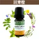 【回青橙純精油10ml-50ml(苦橙葉)】單方純精油系列《歐丹尼》Petitgrain