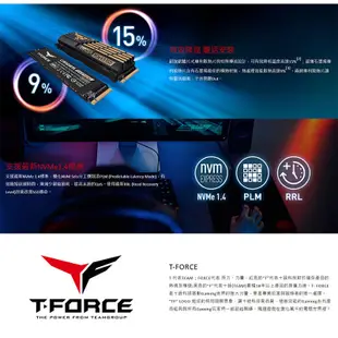 TEAM十銓 T-FORCE CARDEA A440黑曜女神 M.2 SSD固態硬碟/原價屋