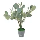 Bonsai Tree Lamp Lighted Tabletop Eucalyptus Tree Liifelike USB Powered For Home