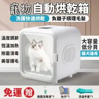 在飛比找蝦皮商城精選優惠-現貨 110V寵物自動烘乾箱 寵物烘乾機 貓咪烘乾機 寵物洗