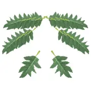 Small Chrysanthemum Fake Leaves 100 Pcs Artificial Plants Greenery Decorations