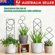 Plant Climbing Trellis Metal Flower Plant Support Frame for Indoor Plants / Pot