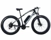 Black Fat Electric Bike E-Bike Shimano 21 Speed Mountain Bicycle Lithium Battery