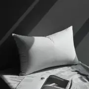 Luxury All Hungarian Goose Down Pillows Queen Size, Soft 480 Thread 100% HM199