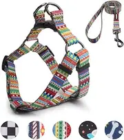 QQPETS Dog Harness Leash Set, Adjustable Heavy Duty Pulling Harnesses Large, Medium, Small Breed Dogs, Back Clip, Anti-Twist, Perfect Walking (L(23"-32" Chest Girth), Green)