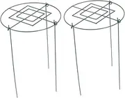 Toyvian 2Pcs Metal Plant Trellis for Climbing Plants Durable Garden Support Frame Rack Elegant Design for Flowering Vines and Vegetables Garden Supplies
