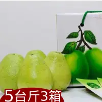 在飛比找台灣好農優惠-八里農會-日光水岸 品牌文旦(5斤) 3箱