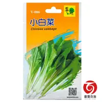 在飛比找蝦皮商城優惠-V006小白菜/蔬菜種子/雷霆百貨