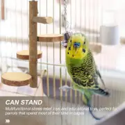 Hammock Swing Parrot Stand Jumping Board for Birds Play Gym Baby