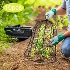 10x Plants Garden Cloches Plants Protectors from Deer and Animals Chicken Wire