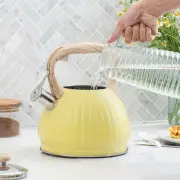 Appliances Sound Pot Induction Cooker Tea Plain Color Kettle