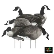 REAL WHITE ROCK 2D ROCKONOMY PRINTED CANADA GOOSE SILHOUETTE DECOYS DOZEN GEESE