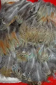PHEASANT FEATHERS 150 BLUE & RUST LOOSE HAND SELECTED FLYS ART CRAFTS