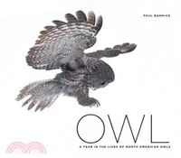 在飛比找三民網路書店優惠-Owl ― A Year in the Life of No