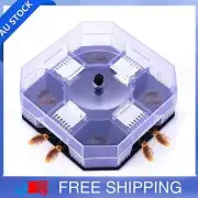 Cockroach Lizard Insect Reusable ECO ON Catcher Killer Trap Large NRL PoisAF