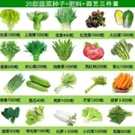 園藝綠植 花苗 種籽 熱銷 20種蔬菜種子套餐四季易種室內陽臺盆栽庭院夏秋冬季農家有機菜籽 精裝種子 種苗 植物