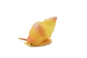 Whelk Toy, Sea Snail Shell, Plastic Model, Realistic Figure, 1 1/4" F1147B164