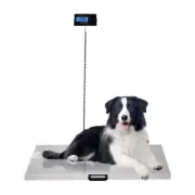 Digital Livestock Scale Pet Vet Scale Stainless Steel Platform Postal Shippin...