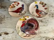 NEW Fall Salad Dessert Plates Turkey Pheasant Duck Ceramic Set 3