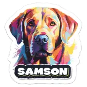 Samson Labrador Dog Name - Car Bumper Sticker Vinyl Decal