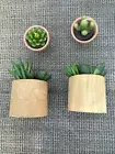 New” 2 Artificial Potted Plant Succulent & 2 Mini Candle Cactus Pot Small Decor