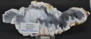 Merlinite Polished Slice, Dendritic Chalcedony, Australia S510
