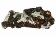 1.65" Meteorite Polished Sericho Pallasite Slice Kenya COA 5632