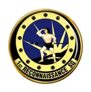 1st Reconnaissance Squadron USAF Pin Badge