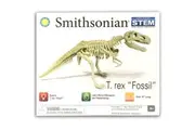 Smithsonian 25cm T Rex Fossil Skeleton Assembling Palaeontology Pretend Toy Kids