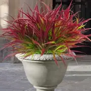12 Bundles Artificial Outdoor Plants UV Resistant Fake Grass Plants Faux