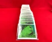***100% Authentic **** Evah Pirazzi Violin String Set 4/4 Medium Steel E Ball