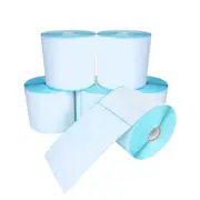 Thermal Shipping Labels Paper Sticker 4 x 6inch 100x150cm, Direct Thermal Labels Sticker 500 Sheets 6 Rolls Pack