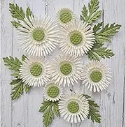 Kashoer 3D Rose Flower Metal Die Cuts, Wedding Flower Leaf Leaves Cutting Dies, Scrapbooking Album Decorative Embossing Paper Dies for Card Making (Flower F)