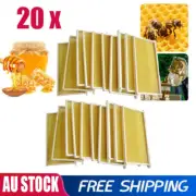20pcs Bee Hive Frames Brood Box Frames Deep Bee Hive Waxed Foundation Honeycomb
