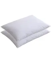 St. James Home Cotton Duck Down Blend 2 Pillow Pack
