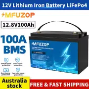 100Ah 12V LiFePO4 Lithium Iron Phosphate Battery Rechargeable BMS Camping RV