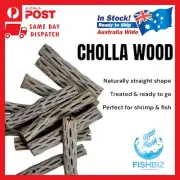 Natural CHOLLA WOOD - minimum 15 CM (6') Length - Fish, Shrimp Tanks Aquarium