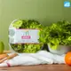 NICE GREEn 美蔬菜盒(最美妍) 1盒 生菜 溫沙拉 萵苣 蔬果汁 水耕蔬菜