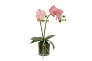 Glamorous Fusion Light Mauve Orchid Artificial Fake Plant Decorative Arrangement 40cm In Cylinder Glass