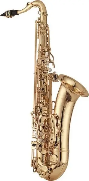 【金聲樂器】 YANAGISAWA Tenor SAX T-WO1 次中音薩克斯風