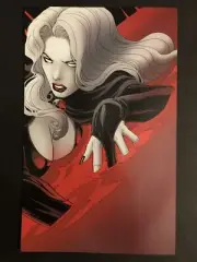 Brian Polido's Lady Death-Avatar Boundless Comics Poster 6.5x10 Daniel HDR